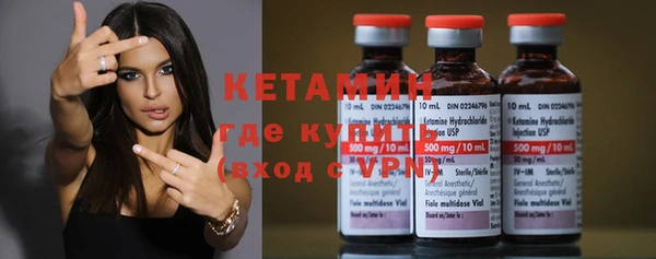 сатива Балахна