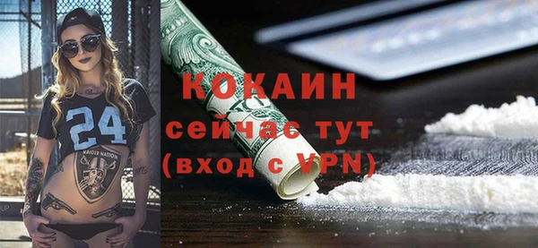 сатива Балахна