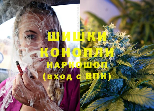 сатива Балахна