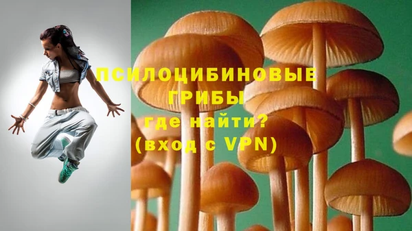 сатива Балахна