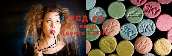 сатива Балахна